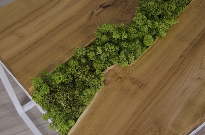 Malita Just Wood: na nowo interpretują drewno