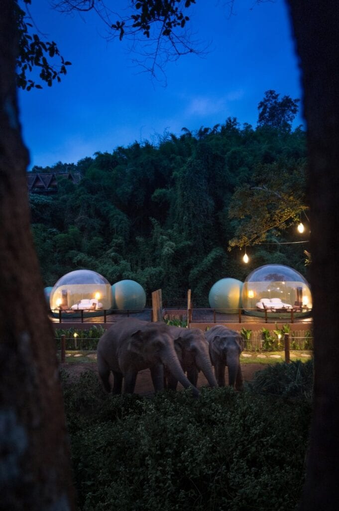 Jungle Bubbles - nocleg wśród wędrujących słoni - Anantara Golden Triangle Elephant Camp & Resort