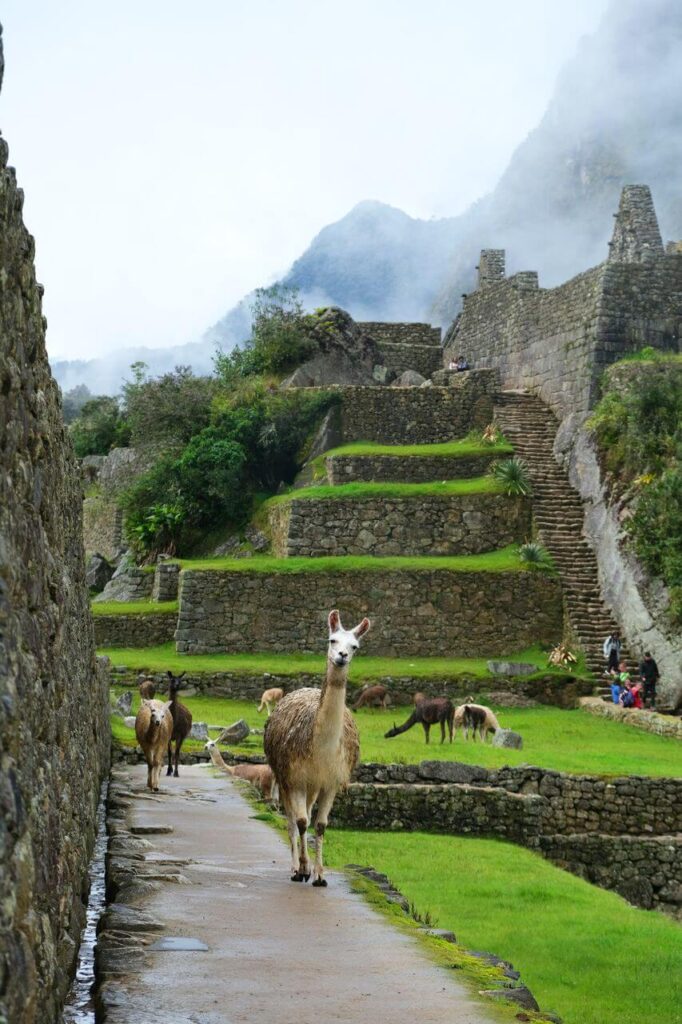 Machu Picchu - miasto w chmurach - foto Nathalie Marquis - Unsplash