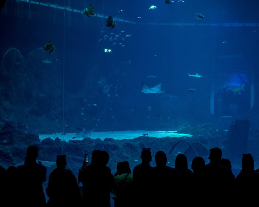 Strefa oceaniczna Orientarium