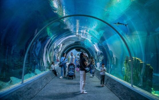 Orientarium ZOO Łódź – wyjątkowa atrakcja Łodzi
