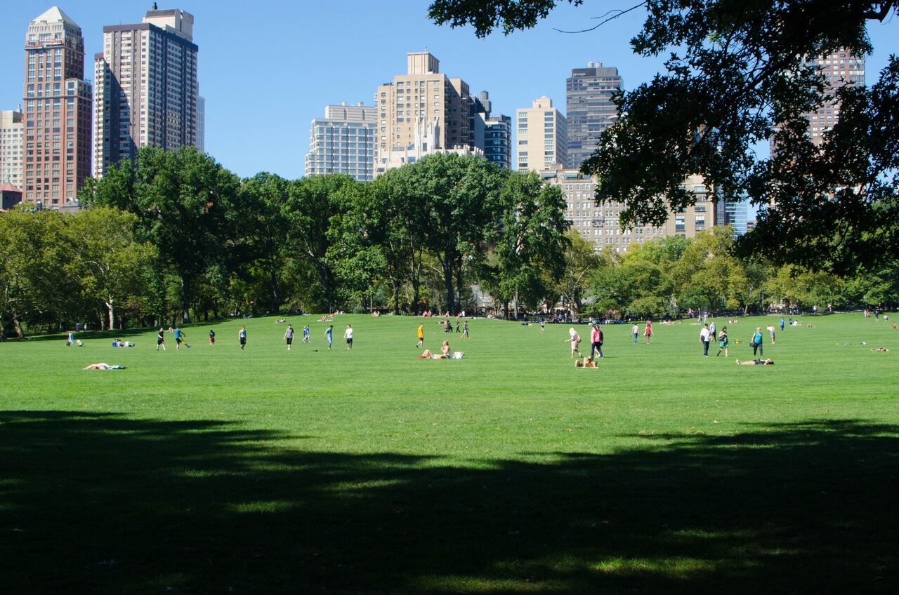 Central Park - foto Carl Newton - Unsplash