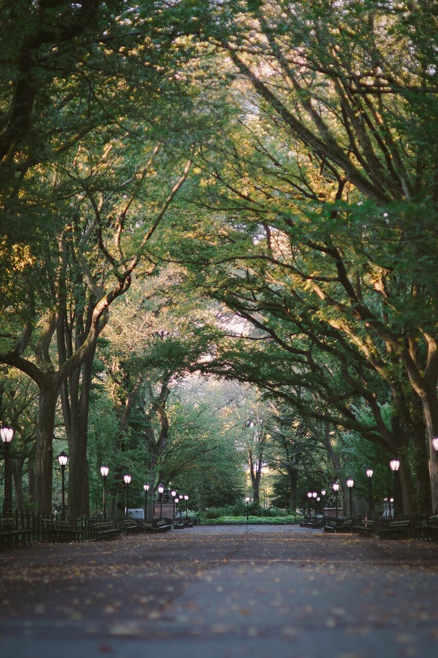 Central Park - foto Danny Best - Unsplash