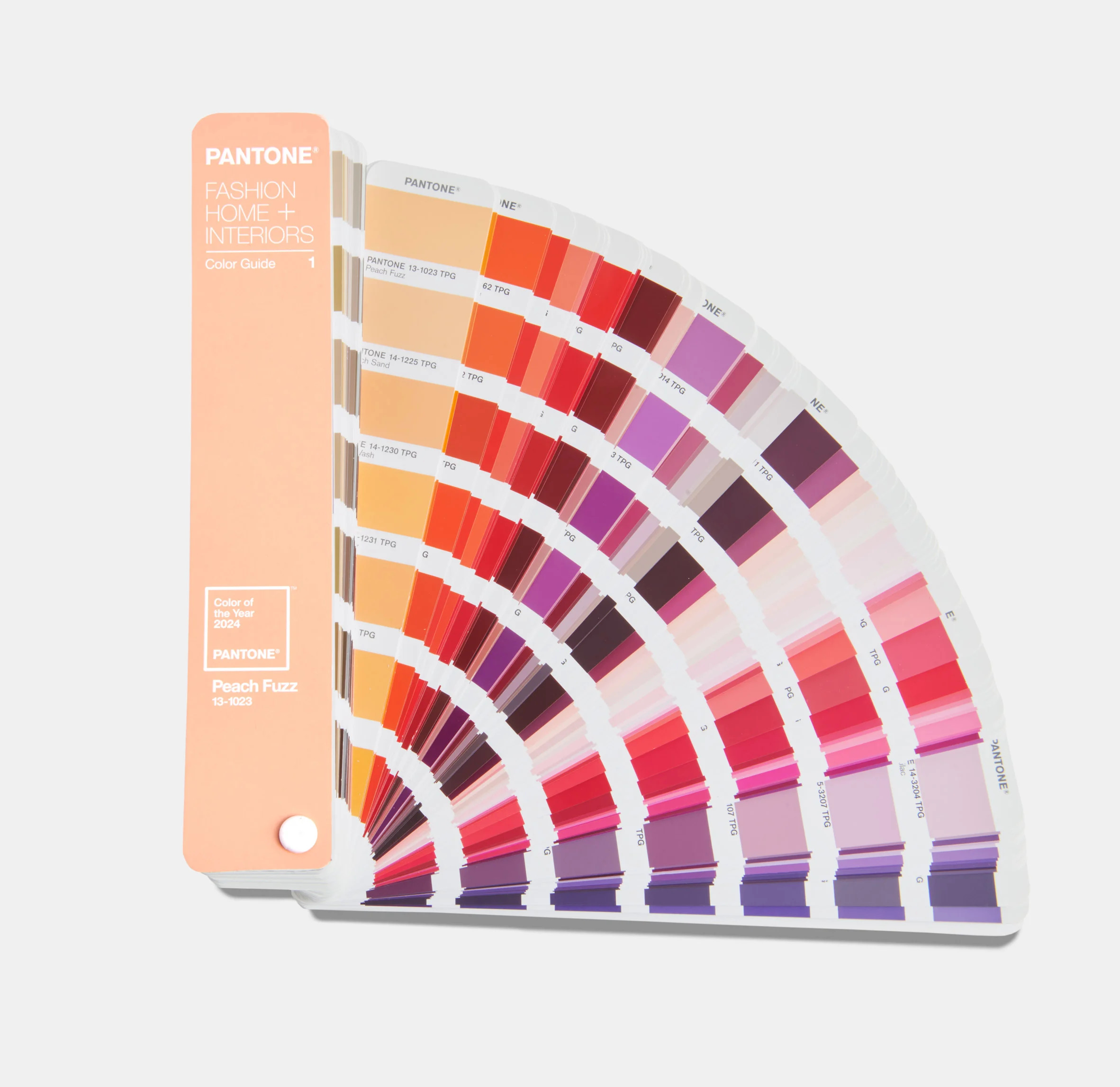 Peach Fuzz 13-1023 – Pantone Colour of the Year 2024