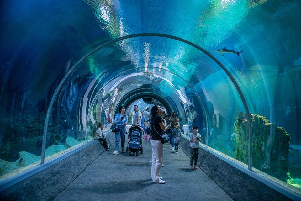 Orientarium ZOO Łódz - tunel podwodny