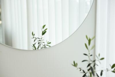 Roślinne odbicie w nowoczesnym, minimalistycznym lustrze.