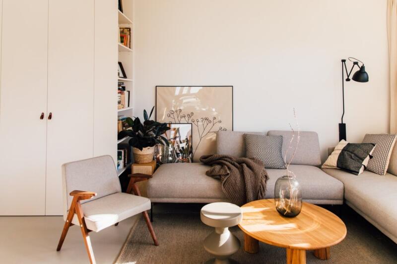 Przytulny salon z designerskimi meblami i roślinami.
