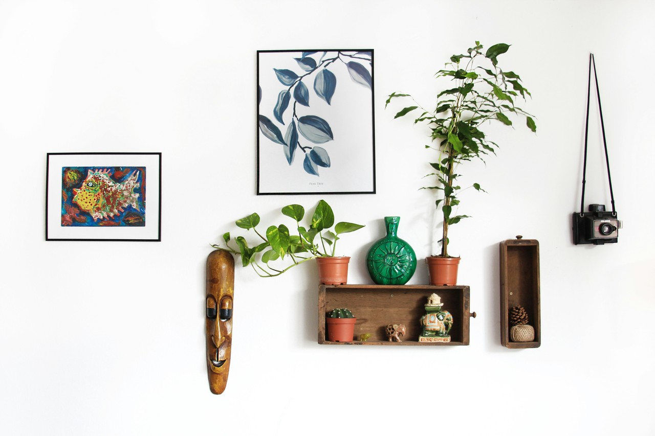 Ścienna galeria z maską, roślinami i designerskimi dekoracjami.