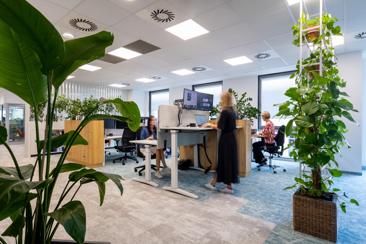 Nowoczesne biuro z roślinami i ergonomiczne stanowiska pracy.