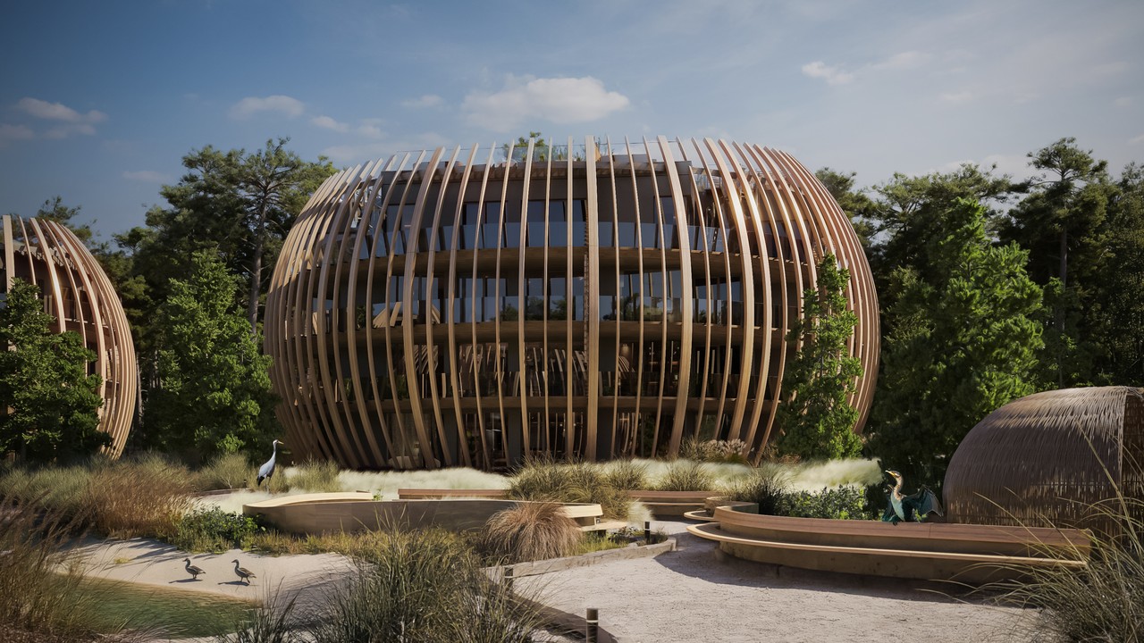 Nowoczesna architektura, organiczne kształty, otoczenie zielenią.