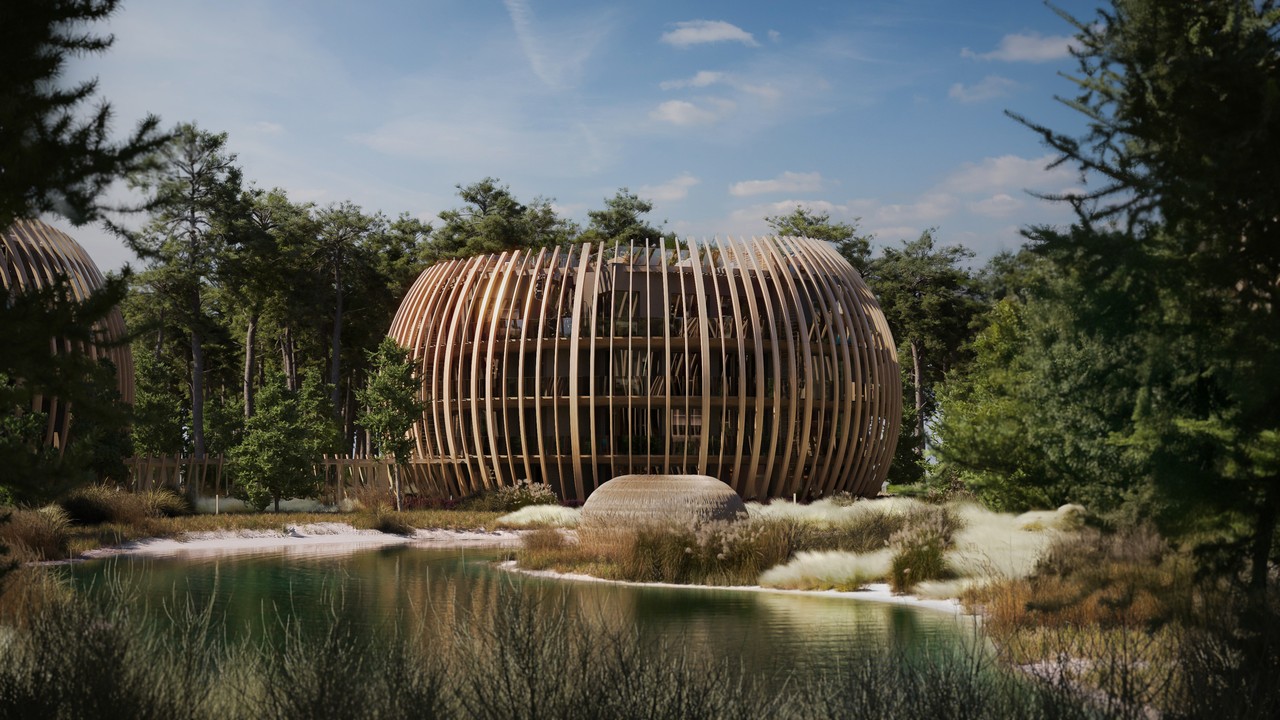 Nowoczesna architektura w leśnym otoczeniu, drewniana struktura.