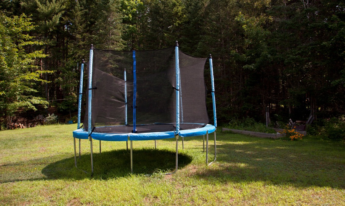 Trampolina w ogrodzie otoczona zielenią i lasem.