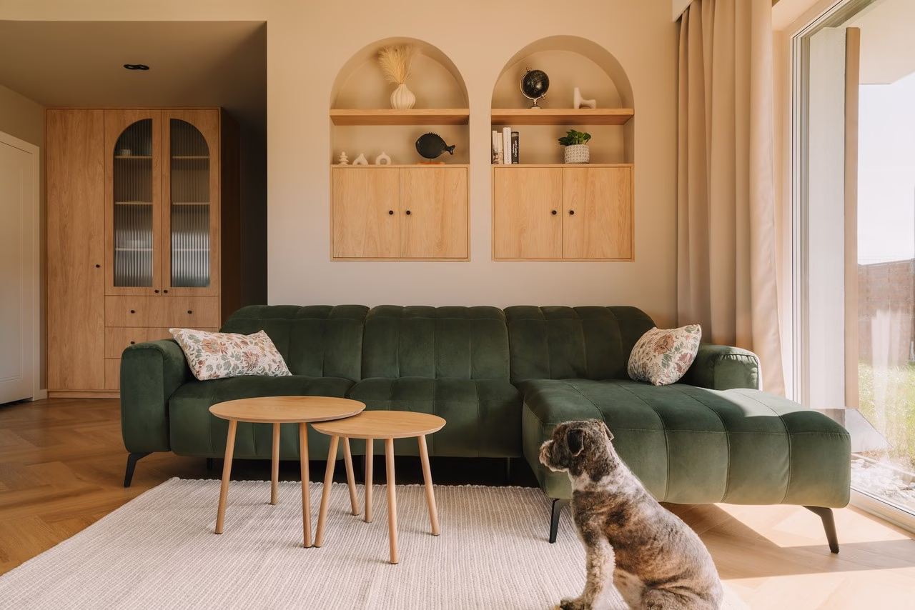 Zielona sofa w salonie z drewnianymi detalami i psim towarzyszem.