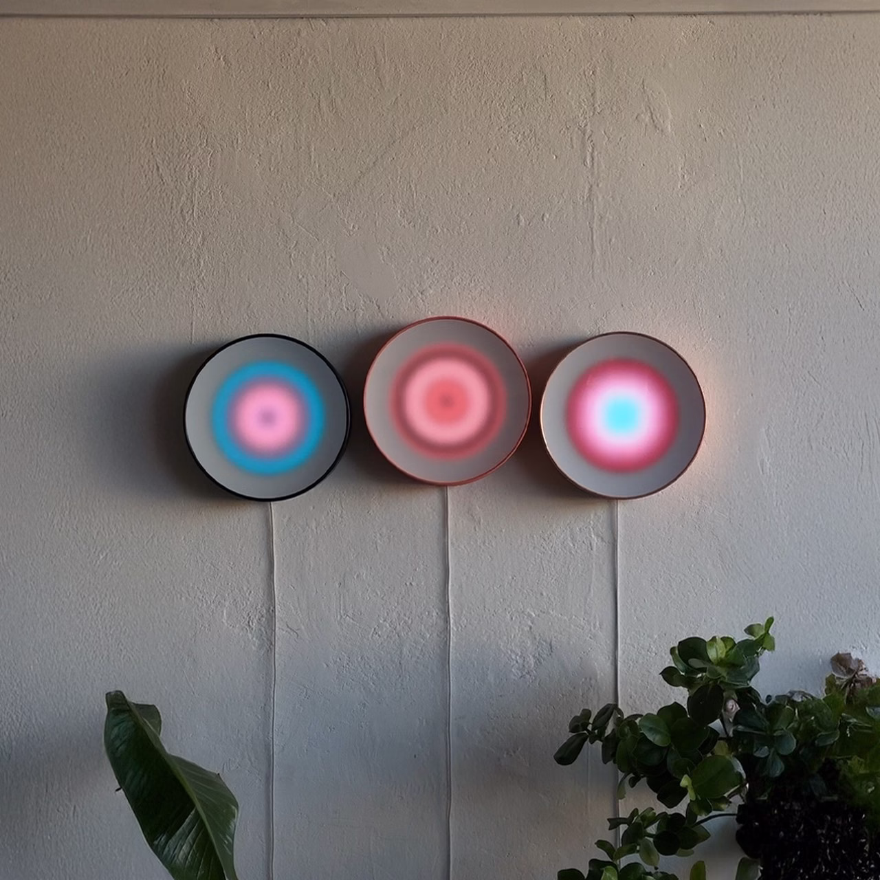 Trzy neonowe lampy ścienne na szarej ścianie, kolorowe światła.